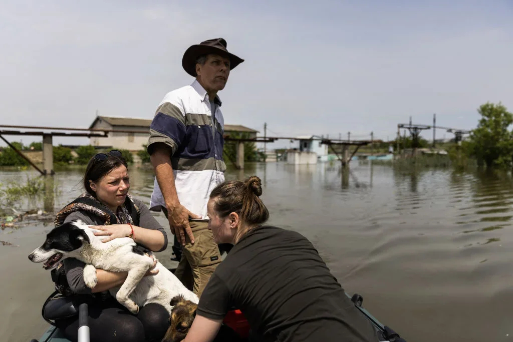 Evacuation of residents and animals from flooded areas of the Kherson region. 8 June. Photo: Daniel Carde / Anadolu Agency / Getty Images