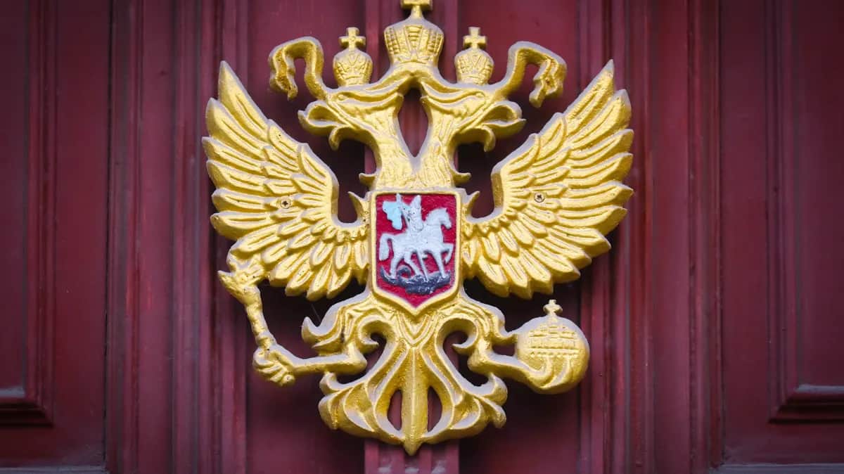 Фото: Beata Zawrzel/Getty Images